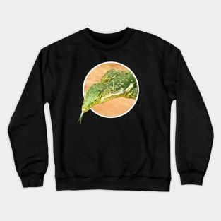 Monitor lizard Crewneck Sweatshirt